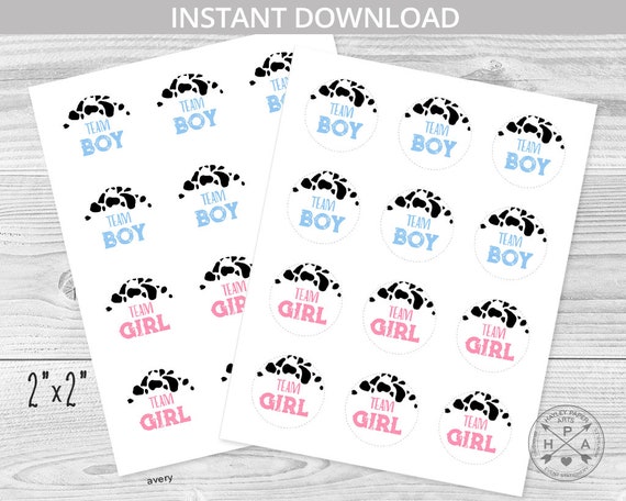 Team gender reveal voting stickers holy cow baby shower he or she vote party 2x2 pink blue team boy team girl. NOT EDITABLE. 210HPA 19 T3 Il_570xn