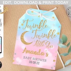 Twinkle twinkle little star bedankkaartje tag baby reveal shower. Roze blauw goud. Directe toegang tot sjabloon. Door jou bewerkt. 009HPA 09