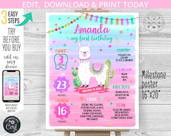 EDITABLE Llama birthday milestone stats first one year board. 1st party poster sign fiesta welcome sign cactus editable template. 072HPA 09