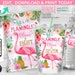 BUNDLE sac de chips Flamingo, sacs de jus, étiquettes de bouteilles d'eau, pochette de chips, emballage, anniversaire de tout âge. Modèle modifiable 044HPA 21