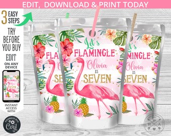 Flamingo juice bag label, capri juice bags, let's flamingle juice pouch, tropical pineapple, birthday party editable template 044HPA 18 A