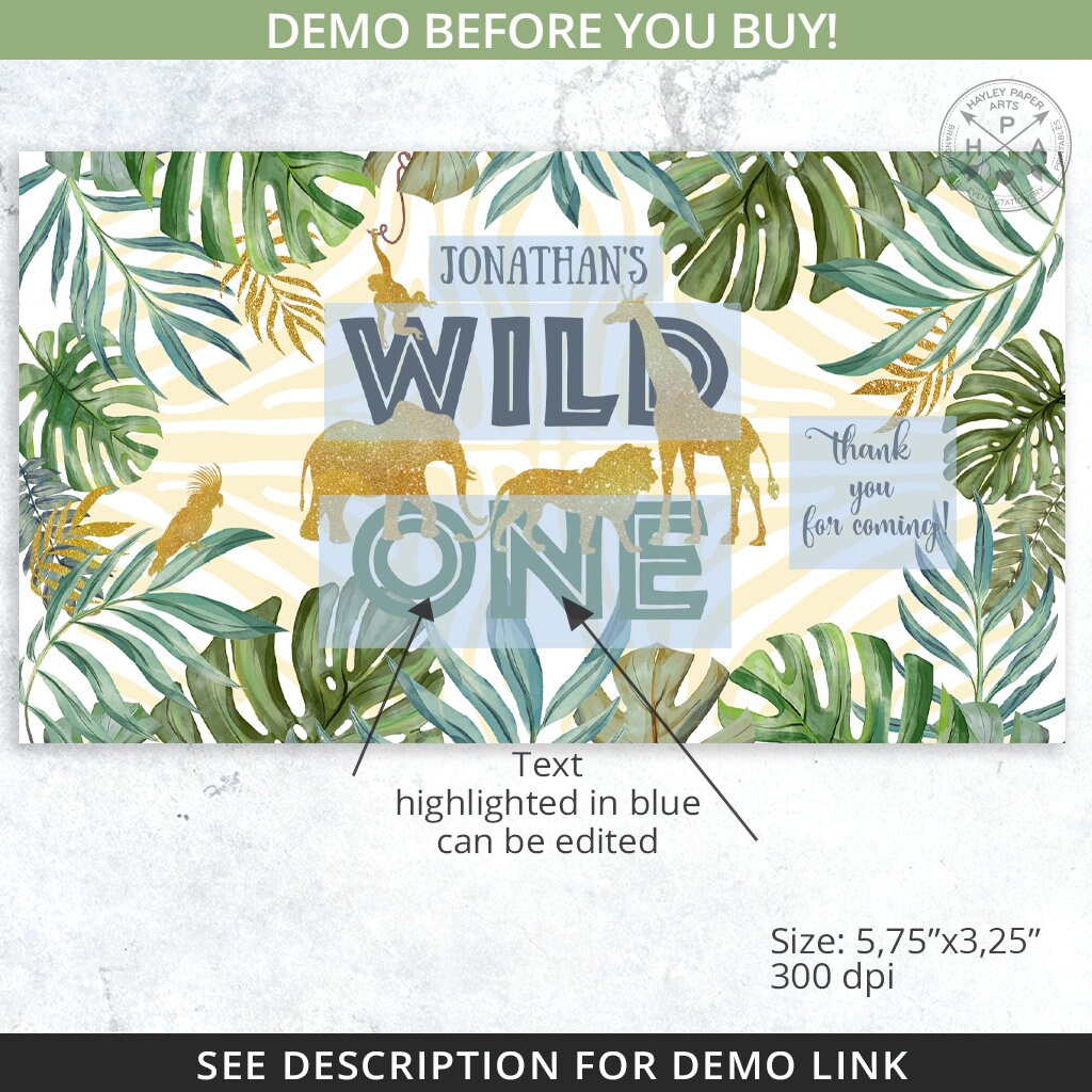 MEGA BUNDLE Jungle Safari Wild One Birthday Party Pack, Chips Bags ...