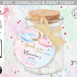 Twinkle twinkle little star tag gender reveal baby shower gunst label bedanklabels. Blauwroze wolkensterren rond cirkel 3"x3". 177HPA 21 D