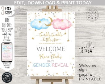 Twinkle twinkle little star welcome sign he or she gender reveal baby shower 18x24. Blue pink boy girl. Editable printable. 177HPA 18 F