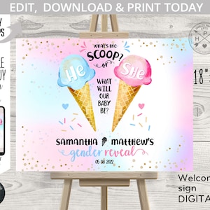 EDITIERBARE Eiscreme was ist die Schaufel er oder sie Willkommensschild Geschlecht offenbaren Dusche 18 "x 24" Blau und Pink. Bearbeitbare Vorlage. 163HPA 18 Bild 1