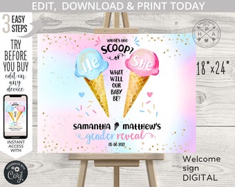 EDITABLE Ice cream what's the scoop he or she welcome sign gender reveal shower 18"x24". Blue pink. Editable template. 163HPA 18