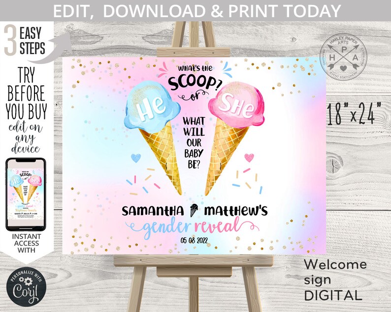 EDITIERBARE Eiscreme was ist die Schaufel er oder sie Willkommensschild Geschlecht offenbaren Dusche 18 "x 24" Blau und Pink. Bearbeitbare Vorlage. 163HPA 18 Bild 1