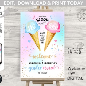 IJs wat is de primeur hij of zij welkom bordje gender reveal douche 24x36. Blauwroze. Zelfbewerkbaar afdrukbaar. 163HPA 24