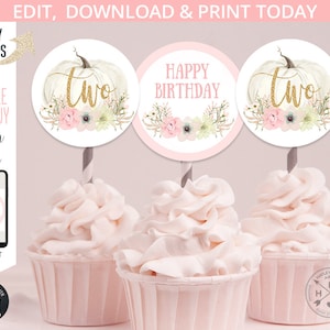 Pumpkin cupcake round toppers pastel pink girl second 2nd birthday party gold two. Instant access to the editable printable. 083HPA 10 B