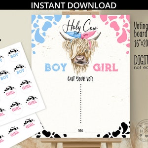 Gender reveal voting sign board holy cow baby shower he or she cast your vote party 16x20 pink blue boy girl. NOT EDITABLE. 210HPA 19 B