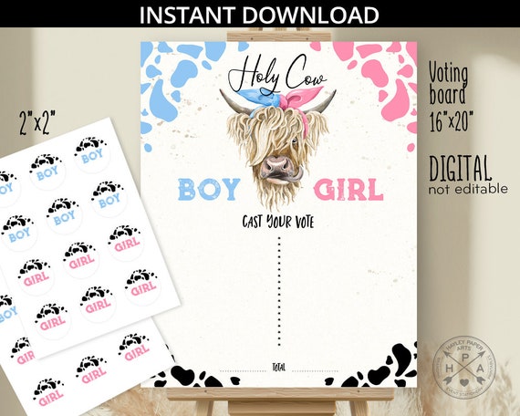 Gender reveal voting sign board holy cow baby shower he or she cast your vote party 16x20 pink blue boy girl. NOT EDITABLE. 210HPA 19 B Il_570xn