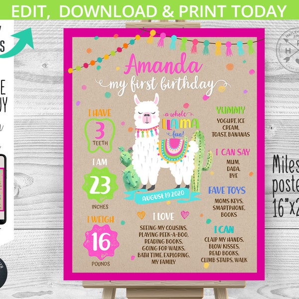 Llama birthday milestone stats first one year board. 1st party poster sign fiesta welcome sign cactus editable template. 073HPA 09