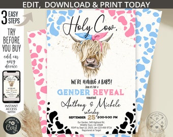 Holy cow baby shower gender reveal blue pink invitation highland cow boy girl farm editable party invite. Selfeditable printable. 210HPA 07