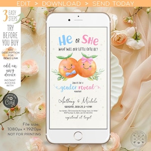 May include: A smartphone displays a gender reveal invitation. The design features two orange illustrations with bows, the text "He or She, What will our little cutie be?" and event details. The file size is 1080px x 1920px.