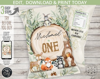 Woodland chips bag, party animals forest ONE bags chips bag pouch wrapper, first birthday party favors. Editable printable. 093HPA 30 C