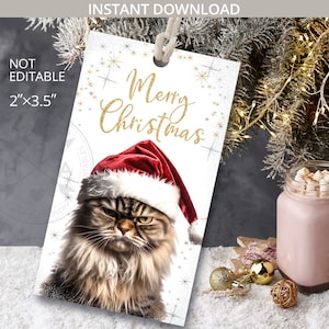 Grumpy cat christmas gift tag. Pissed off cat tag, funny kitty holiday party etiquette rectangle. Instant download. NOT EDITABLE. 305HPA 08