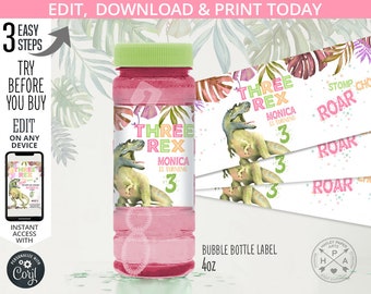 Three rex dinosaur bubble bottle labels. T-Rex, dino-mite party, dino third 3rd birthday party favor label. Editable printable. 137HPA 16 A