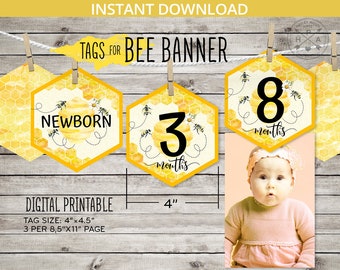 Clips para pancartas mensuales del Día de las Abejas. Etiquetas imprimibles para el primer cumpleaños del Día de las Abejas: colmena de abejorros. Descarga instantánea. NO EDITABLE. 059HPA 15 D