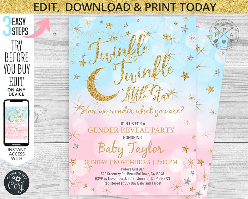Twinkle Twinkle Little Star Gender Reveal Baby Shower Pink Etsy