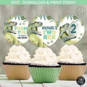 May include: Cupcakes with white frosting and decorative toppers. The toppers feature a green dinosaur illustration and text that reads "THANK YOU", "MICHAEL'S TWO REX", and a number 2. The cupcakes are in tan and green cupcake liners.