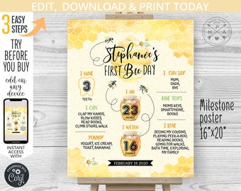 Bee first birthday milestone board 1st honey bee party stats chalkboard bumblebee statistics sign poster. Self-editable printable. 059HPA 08