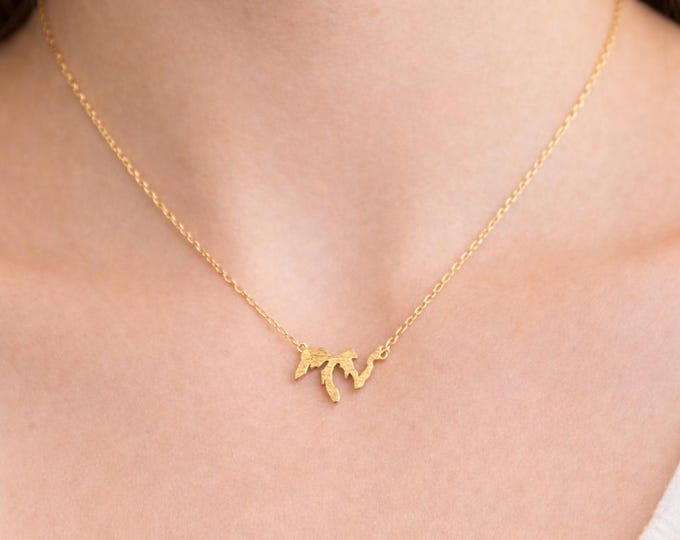 Great Lakes Necklace, Dainty Great Lakes Pendant Necklace, Michigan Lake Necklace, Midwest Jewelry, Small Map Necklace, Gold Silver Rose Gol