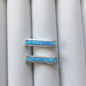 Blue Opal Earrings