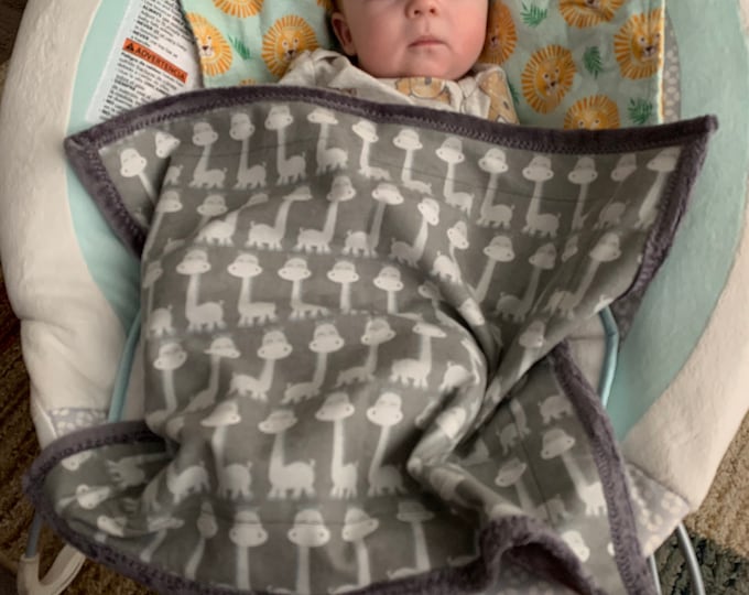 Car Seat Blanket, Baby Blanket, Car Seat Cover, Bouncy Seat Blanket, Minky Car Seat Blanket, Stroller Blanket, Doll Blanket, Small Blanket