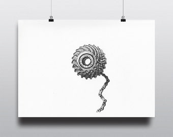 Bicycle Art Print, Bike Art Print, Vintage Bicycle Art : Cassette Flower