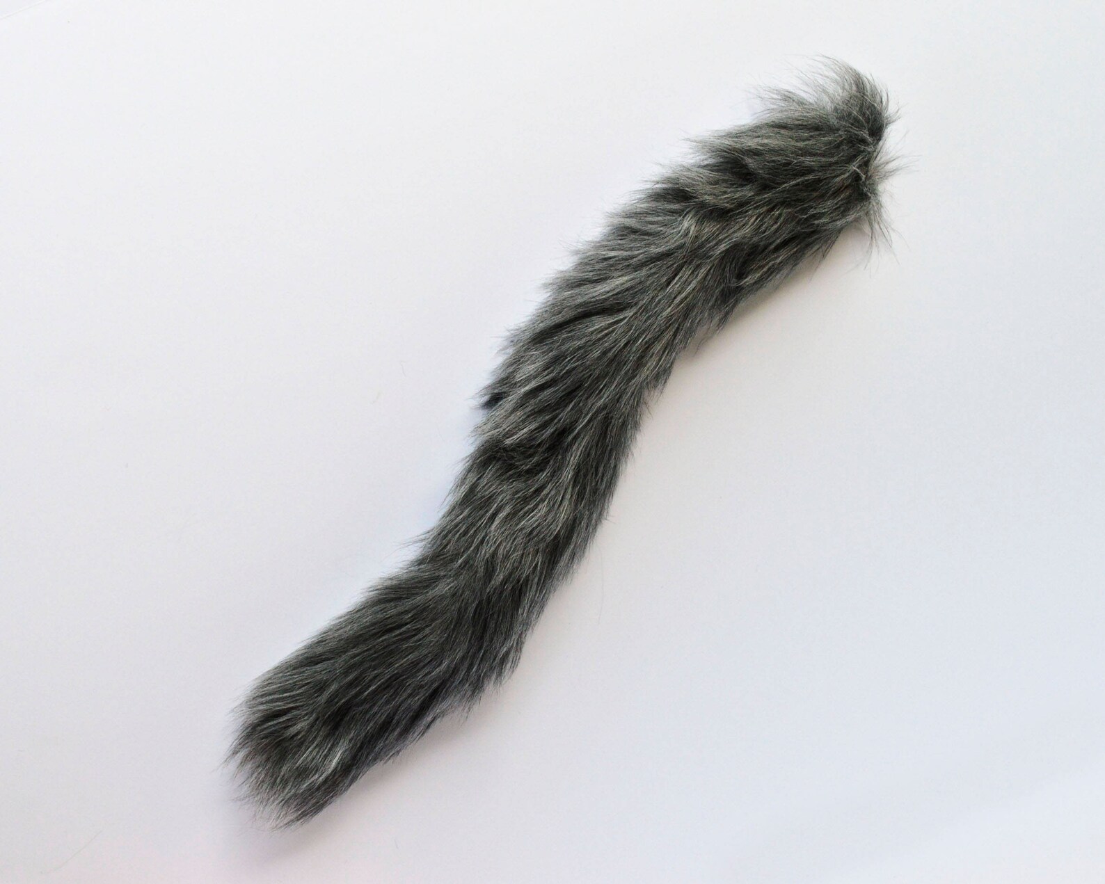Tail is long