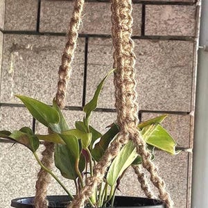 Colgador de plantas de macramé de yute hecho a mano / Regalo de decoración bohemia para jardín interior