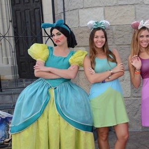 Cinderella stepsister costume cheap