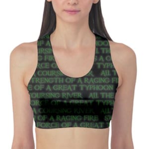 SAMPLE [M] Mulan Inspired  sports bra