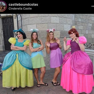 Women&#39;s Drizella Evil Stepsister Cinderella Inspired Sleeveless Flare Dress