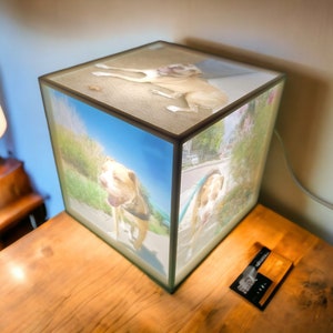May include: A cube-shaped lamp with images of a dog on each side. The dog is light brown with a white chest and is shown in various outdoor settings. The lamp is on a wooden table with a lamp and wall in the background.