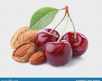 Cherry Almond Goat Milk Bar Soap | Bath and Shower soap for both Men and Women | Free Shipping