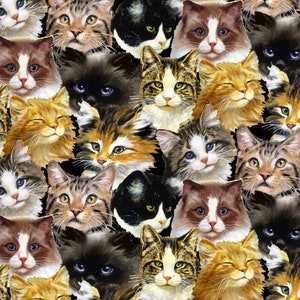 Blank Fabrics- Furrever Friends 9078