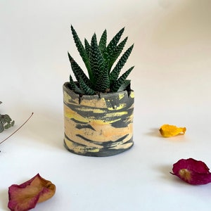 Plant holder - Succulent holder - Colored raku pottery plant holder - Pottery planter - Raku planter