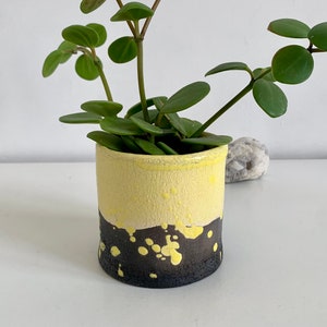 Plant holder - Succulent holder - Raku ceramic yellow and black plant holder - Succulent holder
