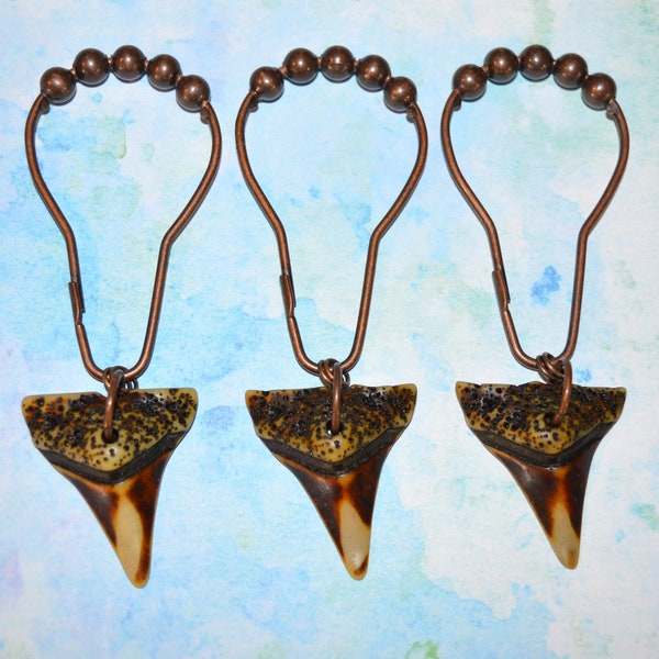 Shark Tooth Shower Curtain Hooks, Set of 12, fossil look textured chunky resin brown beige, oil rubbed bronze, nautical ocean coastal pirate