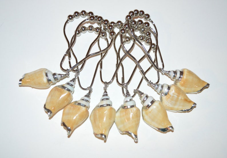 Sea Shell Shower Curtain Hooks Natural Conch Seashell Silver Etsy