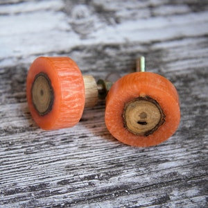 Knotted Wood & Coloured Acrylic Cabinet Door Knob Wood and Resin Contemporary Cupboard Handle Orange Circle