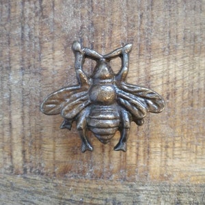 Antique Brass Bee Cabinet Knob | Bronze Scarab Metal Cupboard Door Knob Drawer Pull