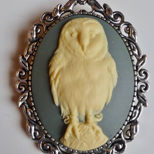 Owl brooch, Victorian Cameo brooch, Medieval Brooch, Gothic Pin