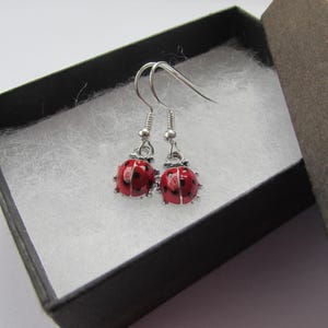 May include: Ladybird earrings with red enamel and black spots, presented in a black gift box with white padding. The earrings have silver-coloured hooks.