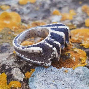 May include: A silver ring with a textured, claw-like design. The ring is lying on a surface with orange and gray lichen.