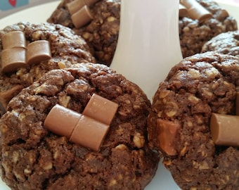 15 Chocolate Delight Lactation Cookies