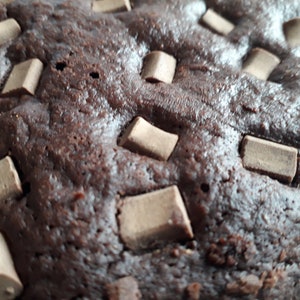 Double Chocolate Lactation-Boosting Brownie Slab image 4