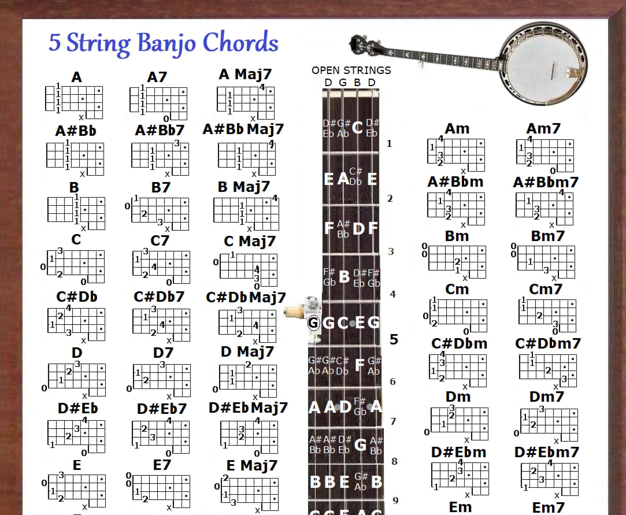 5 STRING BANJO POSTER - 60 chords.