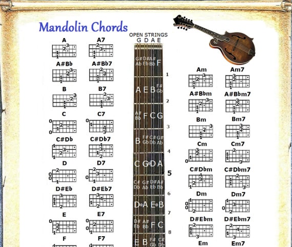 TABLA DE ACORDES DE MANDOLINA | Etsy México
